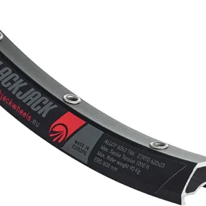 Rodi cycling Felge Ready 23 29 Zoll schwarz Günstig