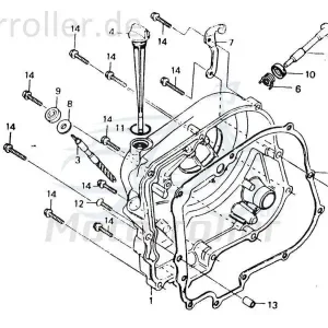 Chunlan Chopper Kupplungshebelfeder 125ccm 4Takt 244FM.03.05-03 Motorrad Moped Ersatzteil Service Inpektion Direktimport Preiswert