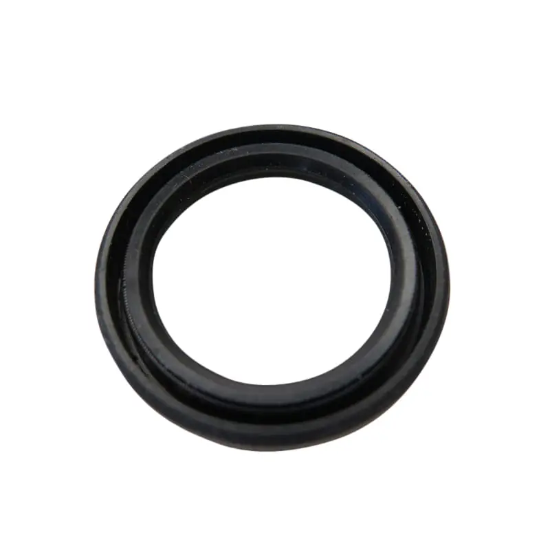 Mega-Angebot Chunlan Chopper Simmerring 125ccm 4Takt 244FM.04.03.02 22x31x5mm Simmering Wellendichtring Abdichtring Dichtringe Radialdichtring Moped