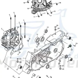 Ablassschraube magnetisch Adly Quad ATV 272ccm 4Takt Motorölablassschraube 320ccm-4Takt ATV 320 Hurricane Kardan ATV 320 Canyon LOF UTV Aktuell