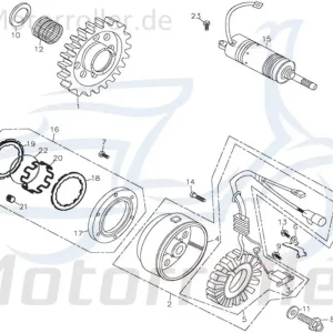 Adly Lichtmaschine Ankerplatte Anker-Platte 31120-169-000 Stator Stromerzeuger Strom-Generator Licht-Maschine Zündplatte Zünd-Platte Neu Im Sortiment