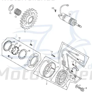 Lichtmaschine Adly ATV 300 Crossroad Sentinel 272ccm 4Takt Stator Ankerplatte Anker-Platte Stromerzeuger Strom-Generator Licht-Maschine Expressversand