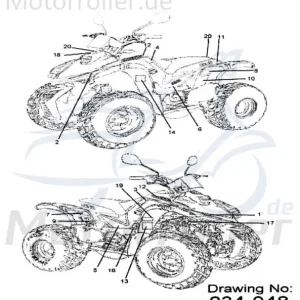 Aeon Cobra 180 RS II Aufkleber 180ccm 4Takt K87730-162-00FC Sticker Dekor Dekor-Aufkleber Klebeetikett Quad ATV UTV Ersatzteil Service Jetzt Bestellen