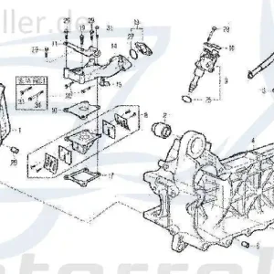 Sofort Bestellen Gummibuchse vorn Daelim Tapo 50 Gummilager Roller 50ccm 2Takt Silentblock Silentlager Silentbuchse Lagerbuchse Motorlager Lagerhülse