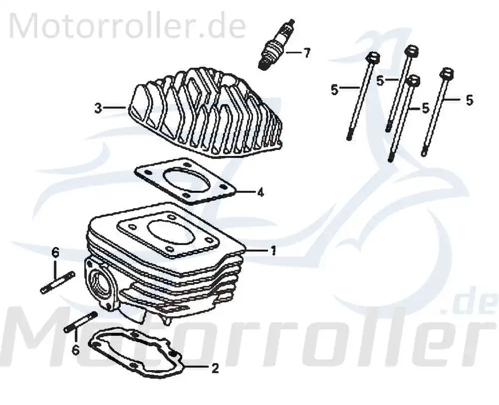 Daelim Message 50 Zylinder 50ccm 2Takt DAE-12101-SE5-9000 Motorzylinder Grauguss Grauguss-Zylinder Gusszylinder Aluzylinder 50ccm-2Takt Nur Heute