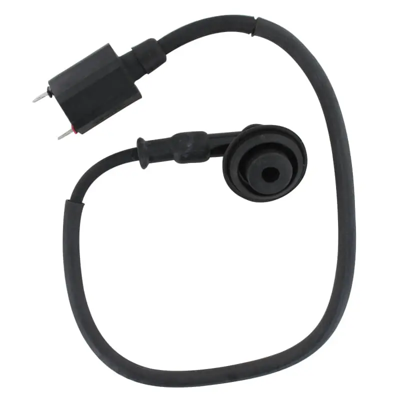 PGO Rodoshow 50 Zündspule Zündkabel 50ccm 2Takt P5584600000 Zündung Zündmodul Kerzenstecker Zünd-Kabel Zünd-Spule Kerzen-Stecker Garantierte Lieferung