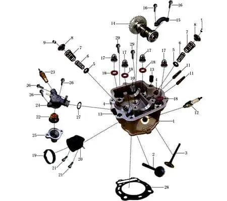Geprüft Jonway Insignio 250 DD Ventilschaftdichtung 250ccm 4Takt 704526 Ventilschaftabdichtung Dichtung-Ventilschaft Abdichtung-Ventilschaft