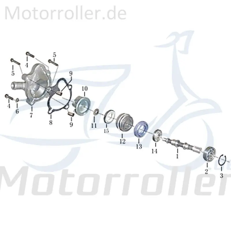 Dichtring 704569 für 250ccm 4Takt Neuheit