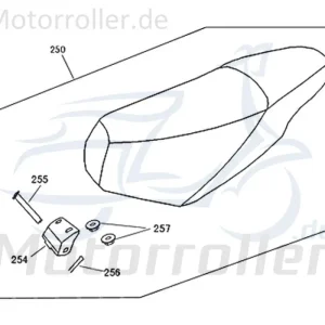Bolzen Sitzbankschanier Kreidler Florett 2.0 2.1 50 RS City 740981 Stehbolzen Zapfen Arretierbolzen Stiftschraube Angebot