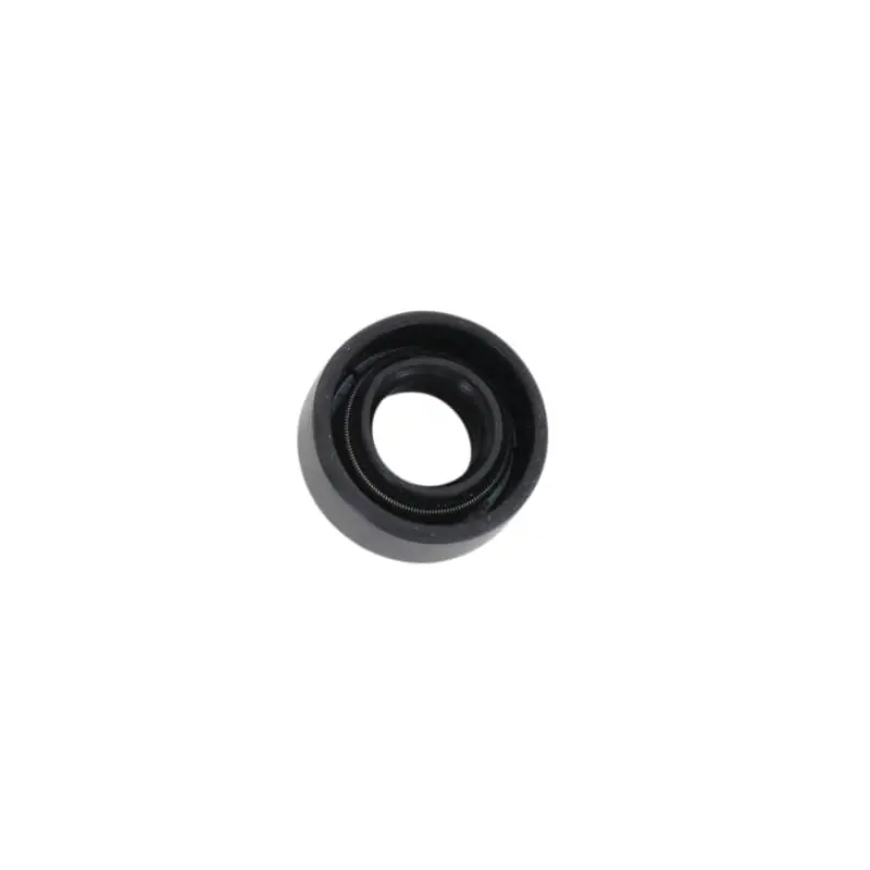 Simmering 12x22x9 Schaltwelle 89255 Dichtring Dichtungsring Wellendichtring Kreidler Rex Enduro Supermoto 125 DD Sale
