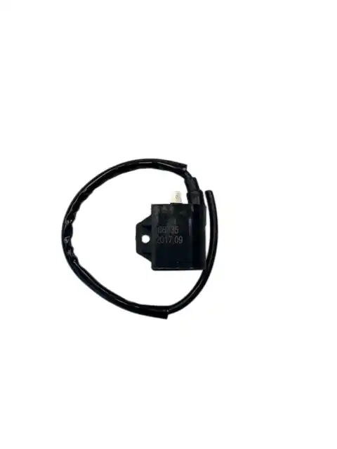 Aktuell Rex RS250 Zündspule Zündkabel Zündung 50ccm 2Takt 87917 Zündmodul Kerzenstecker Zünd-Kabel Zünd-Spule Kerzen-Stecker Zünd-Modul Jonway