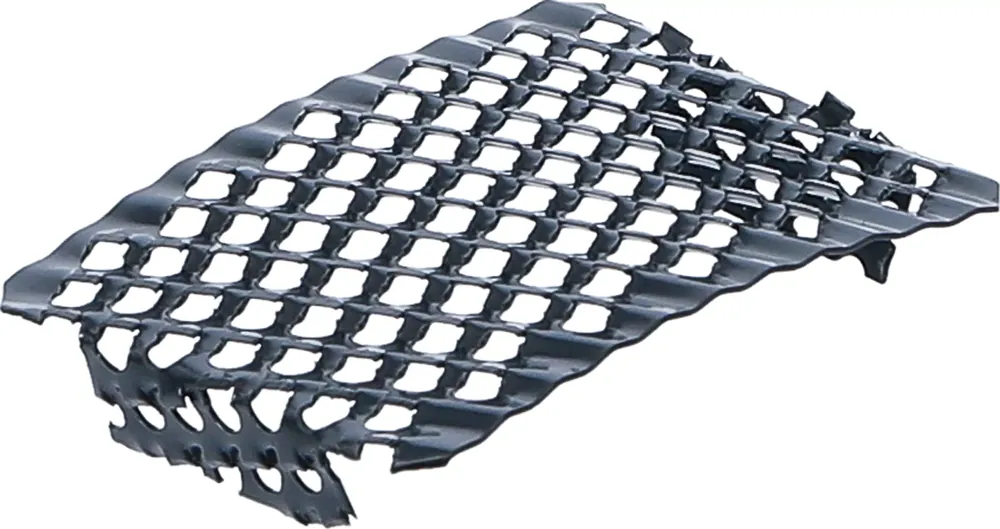 Ersatzblatt für Raspel-Schaber 60 x 40 mm Preiswert