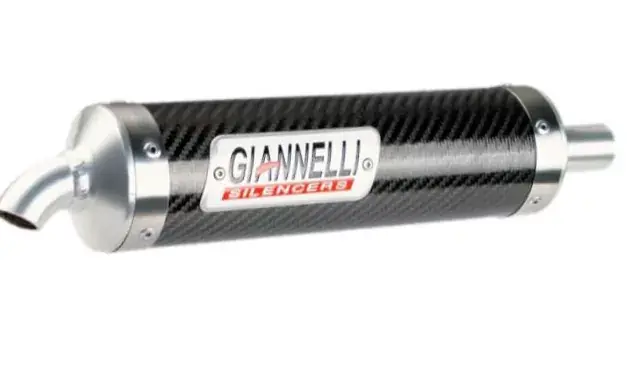 Echt Giannelli Round Carbon Endtopf Ø20 mm Universal Racing