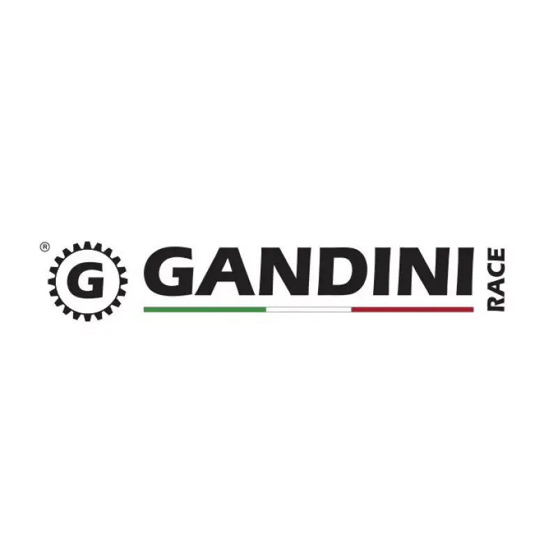 Knallerangebot Gandini Racing 520 Ritzel vorn passend für Yamaha YZF R6