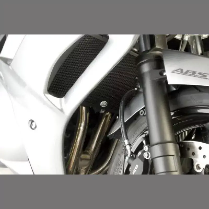 Begrenztes Angebot R&G Racing Kühlergitter passend für Suzuki GSX 1250 FA ab 2010