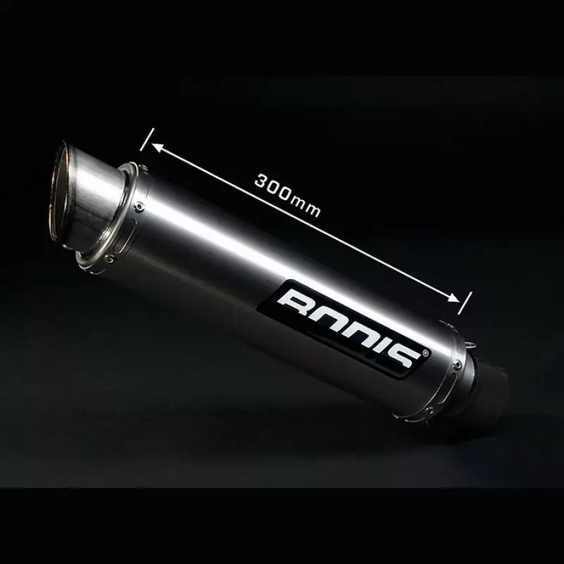 Finale Aktion Bodis GP1 Auspuff passend für Kawasaki ZX-6 R 636 2013-2016