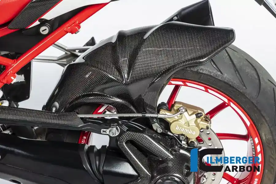Echt Ilmberger Carbon Kotflügel hinten passend für BMW R1200R LC / R1200RS LC (ab 2018)
