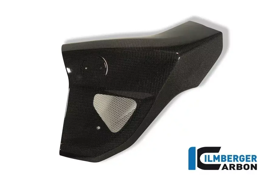 Ilmberger Carbon Wasserkühlerverkleidung links passend für BMW F800R Kracherpreis