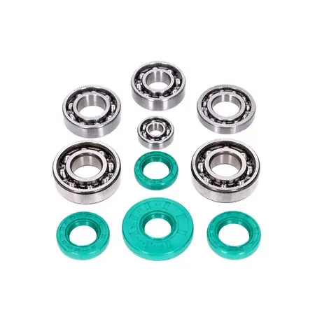 Solange Der Vorrat Reicht Lagersatz Metallkäfig C3 + FKM Wellendichtringen Schmitt Evolution mit Drallrichtung Simson M500