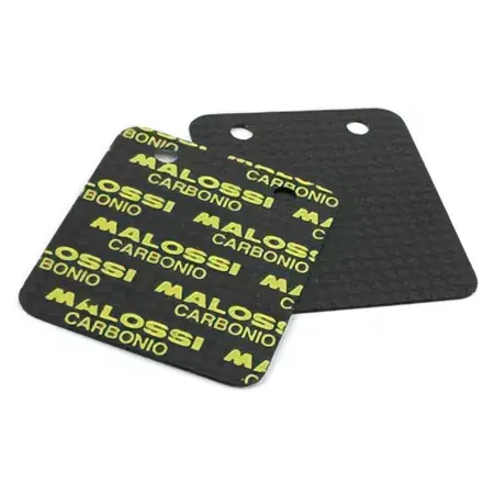 Membranplättchen Carbon Malossi VL14 2 Stück 45° Schnäppchen