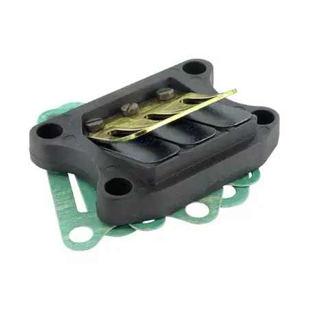 Letzte Chance Membranblock Polini Peugeot TKR