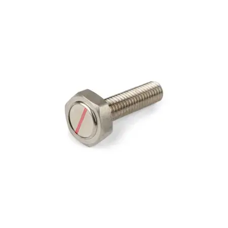 Schneller Versand Magnetschraube KOSO für Bremsscheibe M6x10x24mm