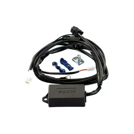 CDI offen Polini ECU Piaggio Liberty 50cc 4T Euro 3 Nur Heute
