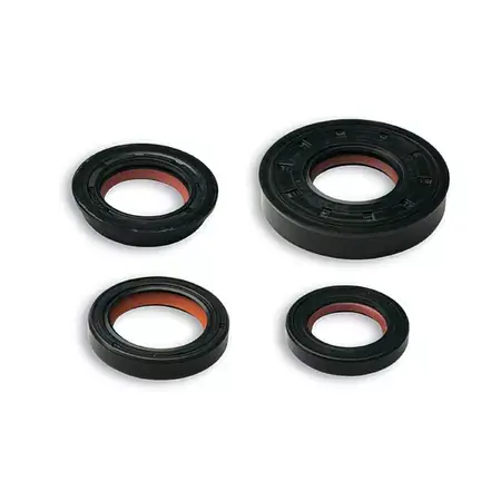 Must-Have Set Wellendichtringe Malossi FKM / PTFE Minarelli