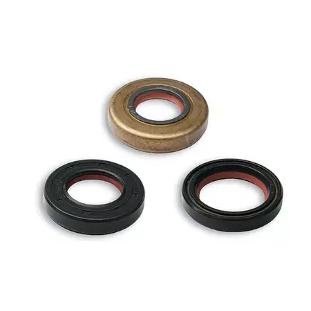 Set Wellendichtringe (x3) Malossi FKM / PTFE Minarelli AM6 Preiswert