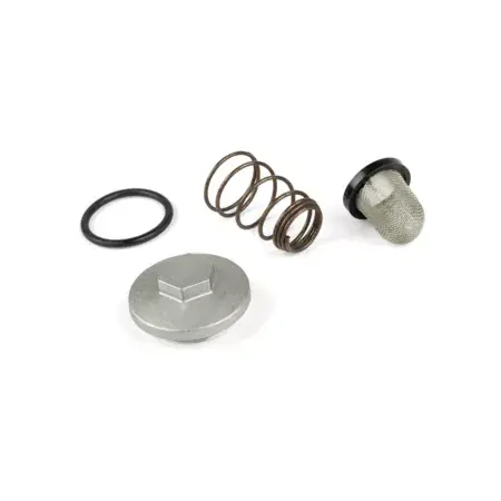 Rabatt Kit Verschlussschraube / Ölsieb / Feder / Dichtung GY6