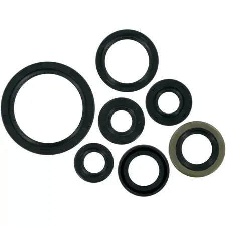 Must-Have Wellendichtringe Kit Moose Racing DR-Z 400