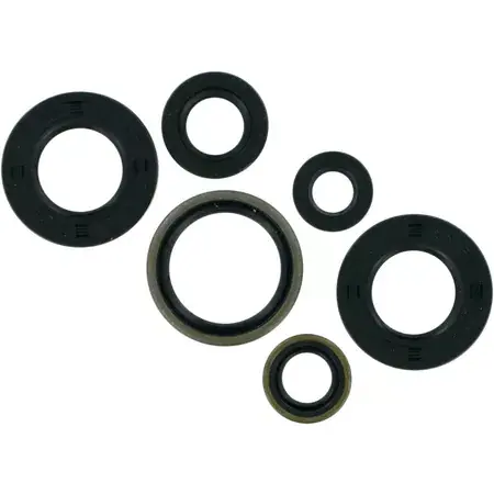 Neu Wellendichtringe Kit Moose Racing SX 65
