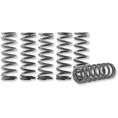 Kupplungsfedern Satz für Hinson Kupplungskorb CRF 450 2009-2012 Online Kaufen