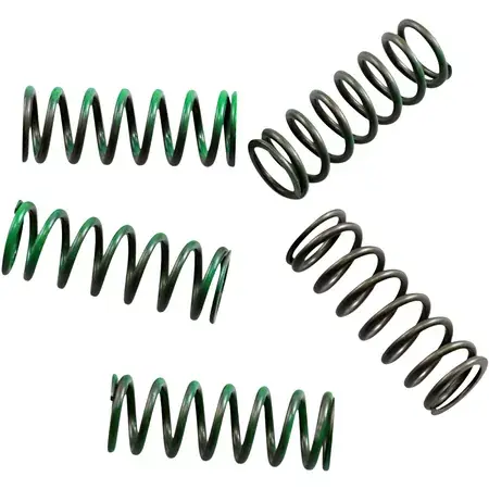 Kupplungsfedern Satz Hinson KXF / RMZ Markenware