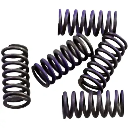 Neu Kupplungsfedern Satz Hinson YZF / WRF 250