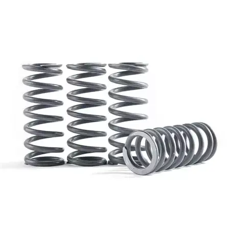 Saisonangebot Kupplungsfedern CRF 450